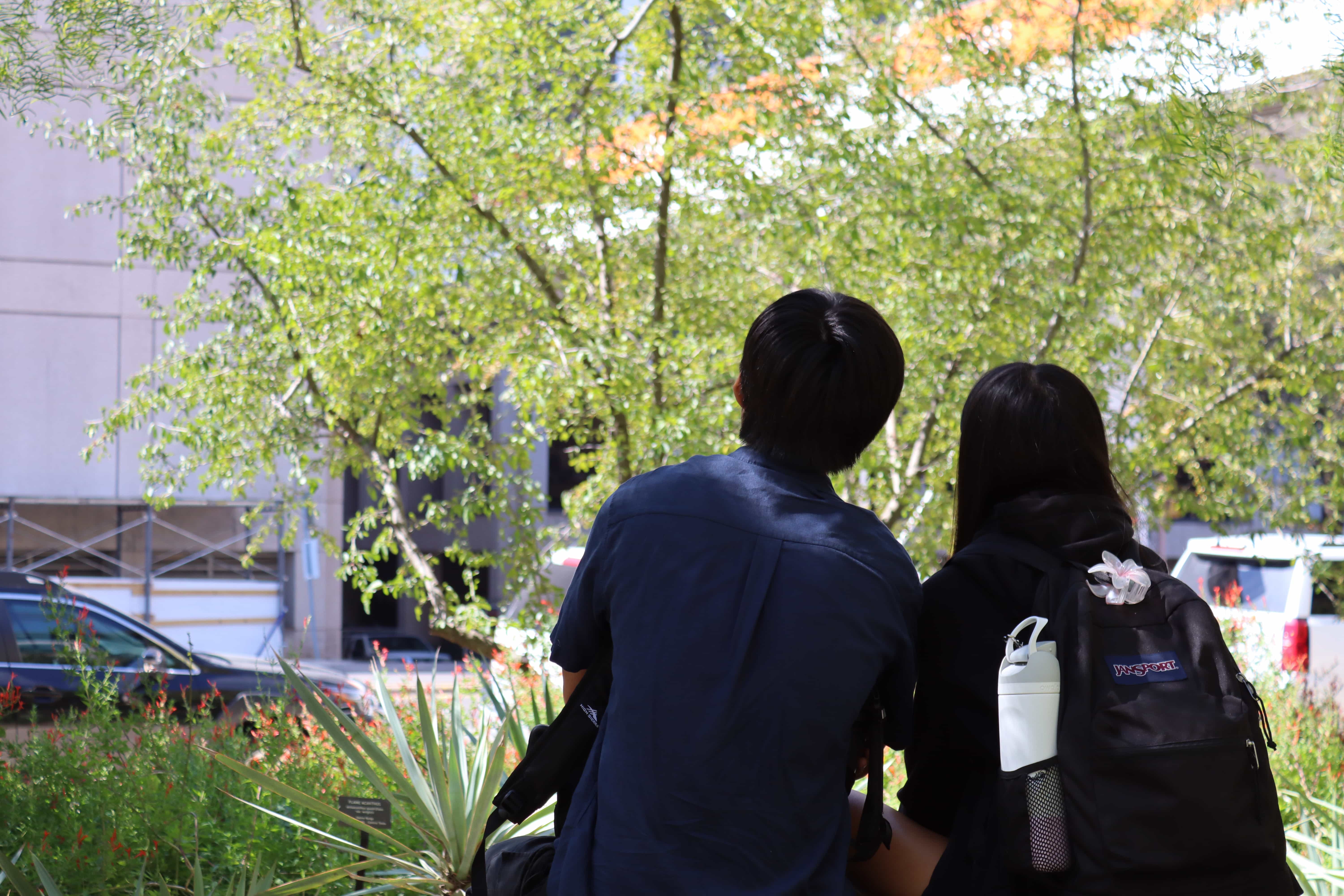 ...